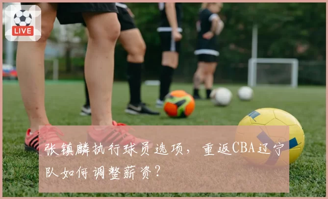 张镇麟执行球员选项，重返CBA辽宁队如何调整薪资？