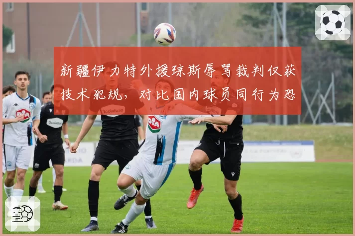 新疆伊力特外援琼斯辱骂裁判仅获技术犯规，对比国内球员同行为恐引发规则争议