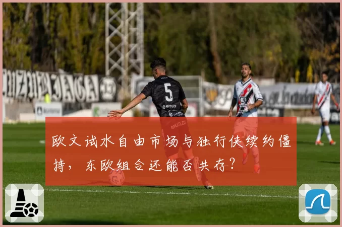 欧文试水自由市场与独行侠续约僵持，东欧组合还能否共存？
