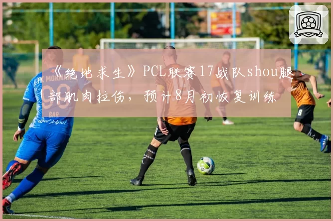 《绝地求生》PCL联赛17战队shou腿部肌肉拉伤，预计8月初恢复训练