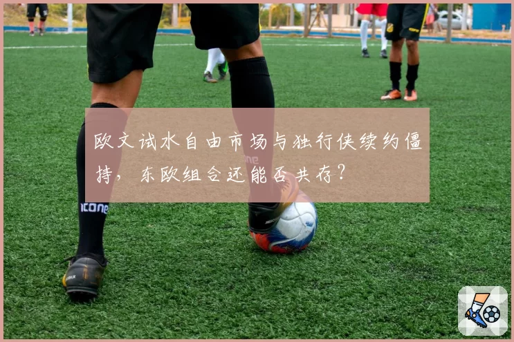 欧文试水自由市场与独行侠续约僵持，东欧组合还能否共存？