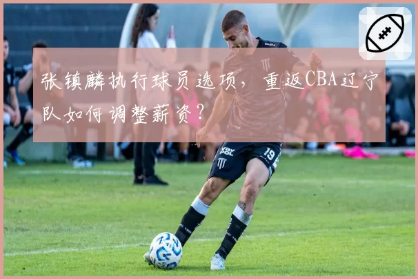 张镇麟执行球员选项，重返CBA辽宁队如何调整薪资？
