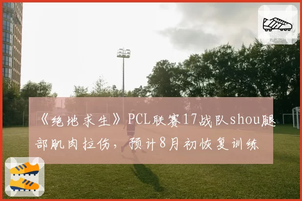 《绝地求生》PCL联赛17战队shou腿部肌肉拉伤，预计8月初恢复训练